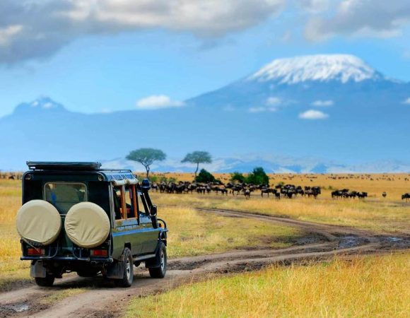 16 Days Kenya, Tanzania Wildlife Safari & Zanzibar Beach Flying Holiday