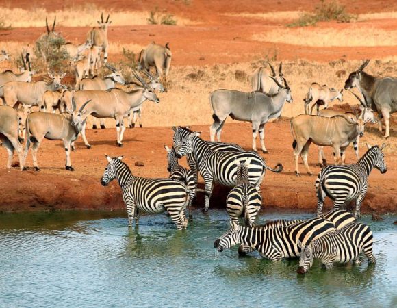 3 Days Tsavo East National Park Safari from Nairobi