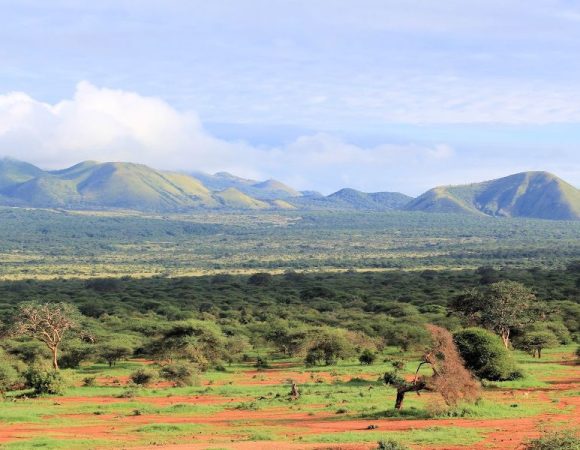 4 DaysTsavo West, Amboseli & Tsavo East Safari in 4×4 Land Cruiser