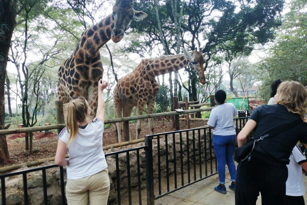 Karen Blixen, Giraffe Center & Bomas of Kenya Day Tour