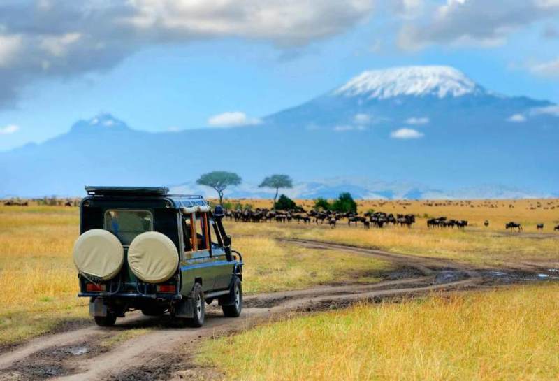 Kenya & Tanzania Safaris