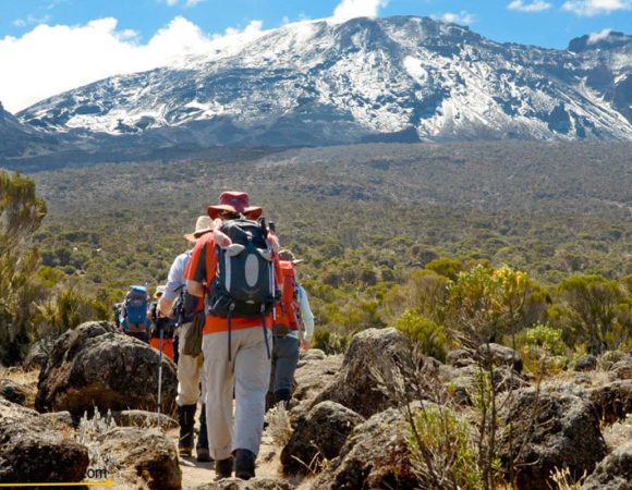 9 Days Kilimanjaro Climbing: Lemosho Route