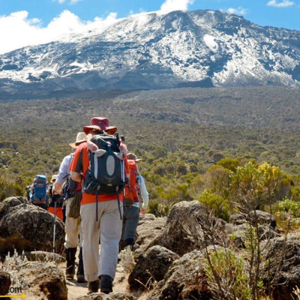 9 Days Kilimanjaro Climbing: Lemosho Route