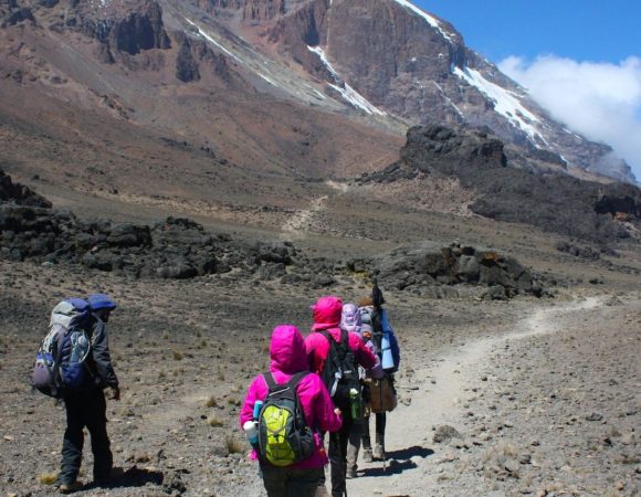 Day Trip to Mount Kilimanjaro