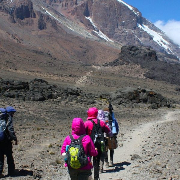 Day Trip to Mount Kilimanjaro