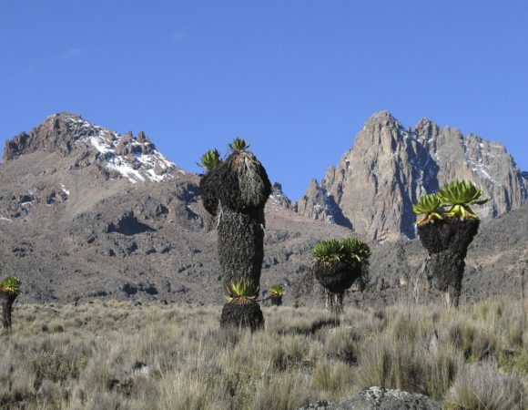 6 Days Mt Kenya Climbing Expedition: Sirimon - Chogoria Route