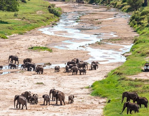 4 Days Tanzania Luxury Safari: Tarangire, Ngorongoro & Lake Manyara